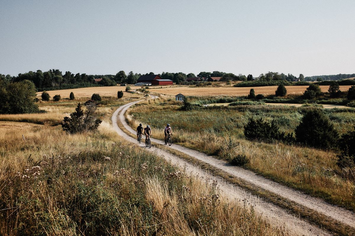 rebound gravel 2024